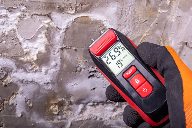Mold Testing and Removal in Walker Mill, MD