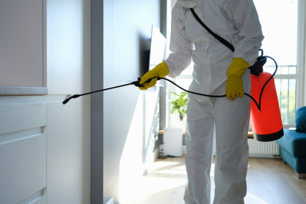 Best Mold Cleaning Services  in Walker Mill, MD